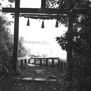d-yama
